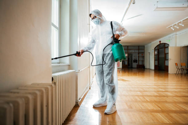 Professional Pest Control in North Bay Village, FL